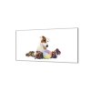 Ochranná deska jack russel a hračky na bílém (Lepení na zeď S lepením na zeď, Rozměr 70x70 cm)
