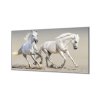Ochranná deska pár bílých koňů (Lepení na zeď S lepením na zeď, Rozměr 70x70 cm)