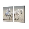 Ochranná deska pár bílých koňů (Lepení na zeď S lepením na zeď, Rozměr 70x70 cm)