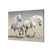 Ochranná deska pár bílých koňů (Lepení na zeď S lepením na zeď, Rozměr 70x70 cm)