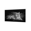 Ochranná deska bílý tygr, černý podklad (Lepení na zeď S lepením na zeď, Rozměr 70x70 cm)
