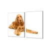 Ochranná deska krásný pes kokršpaněl (Lepení na zeď S lepením na zeď, Rozměr 70x70 cm)