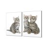 Ochranná deska tři malé kočky bengalské (Lepení na zeď S lepením na zeď, Rozměr 70x70 cm)