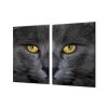 Ochranná deska detail obličeje černá kočka (Lepení na zeď S lepením na zeď, Rozměr 70x70 cm)