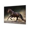 Ochranná deska černý kůň klusající v prachu (Lepení na zeď S lepením na zeď, Rozměr 70x70 cm)