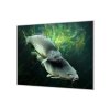 Ochranná deska ryba kapři pod hladinou (Lepení na zeď S lepením na zeď, Rozměr 70x70 cm)