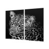 Ochranná deska šelma leopard v černé a bílé (Lepení na zeď S lepením na zeď, Rozměr 70x70 cm)
