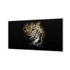 Ochranná deska šelma leopard černé pozadí (Lepení na zeď S lepením na zeď, Rozměr 70x70 cm)