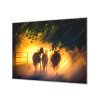 Ochranná deska silueta koní v západu slunce (Lepení na zeď S lepením na zeď, Rozměr 70x70 cm)