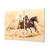 Ochranná deska tři koně v prachu (Lepení na zeď S lepením na zeď, Rozměr 70x70 cm)