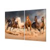 Ochranná deska stádo koní v prachu (Lepení na zeď S lepením na zeď, Rozměr 70x70 cm)