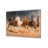 Ochranná deska stádo koní v prachu (Lepení na zeď S lepením na zeď, Rozměr 70x70 cm)