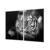 Ochranná deska s motivem hlava tygra (Lepení na zeď S lepením na zeď, Rozměr 70x70 cm)