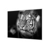 Ochranná deska s motivem hlava tygra (Lepení na zeď S lepením na zeď, Rozměr 70x70 cm)