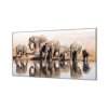 Ochranná deska ze skla stádo slonů (Lepení na zeď S lepením na zeď, Rozměr 70x70 cm)