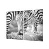 Ochranná deska s motivem černobílá zebra (Lepení na zeď S lepením na zeď, Rozměr 70x70 cm)
