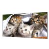 Ochranná deska tři koťata v košíku (Lepení na zeď S lepením na zeď, Rozměr 70x70 cm)