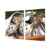 Ochranná deska tři koťata v košíku (Lepení na zeď S lepením na zeď, Rozměr 70x70 cm)