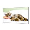 Ochranná deska do kuchyně spící kotě (Lepení na zeď S lepením na zeď, Rozměr 70x70 cm)