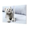 Ochranná deska skleněná roztomilé kotě (Lepení na zeď S lepením na zeď, Rozměr 70x70 cm)