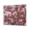 Ochranná deska květy magnolie (Lepení na zeď S lepením na zeď, Rozměr 70x70 cm)