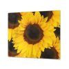 Ochranná deska květy slunečnice (Lepení na zeď S lepením na zeď, Rozměr 70x70 cm)