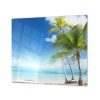 Ochranná deska Karibské moře a palmy (Lepení na zeď S lepením na zeď, Rozměr 70x70 cm)