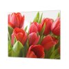 Ochranná deska květy červené tulipány (Lepení na zeď S lepením na zeď, Rozměr 70x70 cm)
