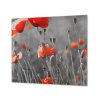 Ochranná deska květy vlčí máky šedé pozadí (Lepení na zeď S lepením na zeď, Rozměr 70x70 cm)