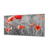 Ochranná deska květy vlčí máky šedé pozadí (Lepení na zeď S lepením na zeď, Rozměr 70x70 cm)