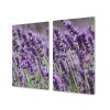 Ochranná deska louka květy levandule (Lepení na zeď S lepením na zeď, Rozměr 70x70 cm)