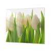 Ochranná deska květy bílé tulipány (Lepení na zeď S lepením na zeď, Rozměr 70x70 cm)