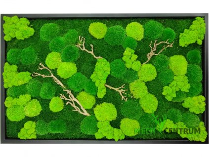 Mechový obraz Balance 55 x 90 cm | černý kovový rám