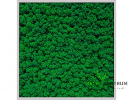 Mechový obraz Heavy rain 56 x 56 cm | šedý tenký rám