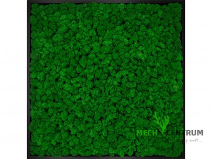 Mechový obraz Emerald 56 x 56 cm | černý tenký rám
