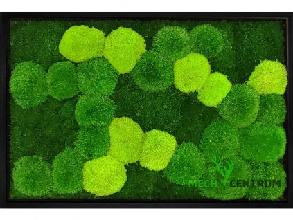 Mechový obraz Kingdom 60 x 40 cm | černý tenký rám