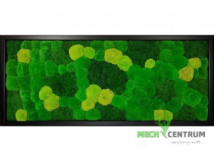 Mechový obraz Imperial 136 x 56 cm | černý tenký rám