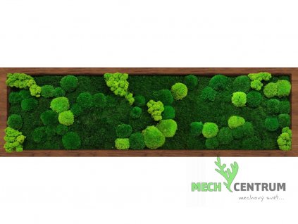 Mechový obraz Adventure 140 x 40 cm | ořechový tenký rám