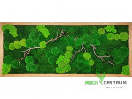 Mechový obraz Heroes 136 x 56 cm | tenký dubový rám