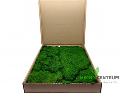 Plochý mech 1,2 kg | Zelená