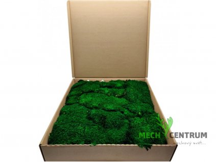 Plochý mech 1,2 kg | Tmavě zelená