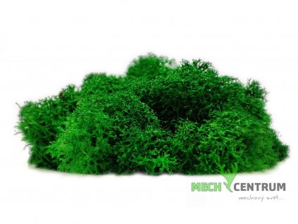 Finský sobí mech 1 kg | Zelená