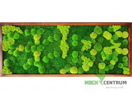 Mechový obraz Eager 136 x 56 cm | ořechový tenký rám