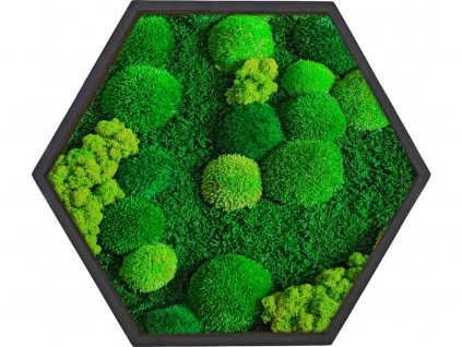Mechový obraz Harmony | průměr 40 cm | černý tenký rám