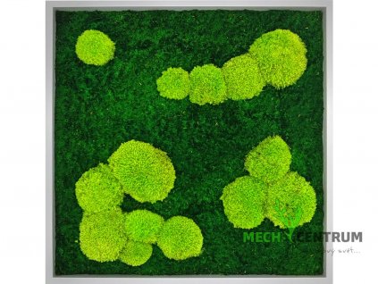 Mechový obraz Spring 56 x 56 cm | šedý tenký rám