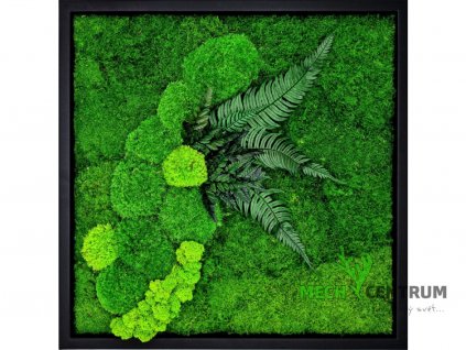 Mechový obraz Garden 56 x 56 cm | černý tenký rám