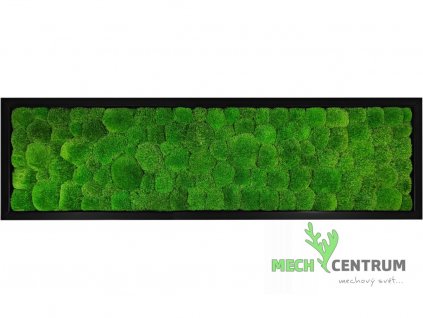 Mechový obraz Green Valley 140 x 40 cm | černý rám
