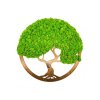 772 4 kulaty strom zivota orech prumer 55cm ram kulaty drevo orech mech sobi svetle zeleny