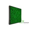 Mechový obraz Emerald 56 x 56 cm | černý tenký rám