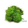 Finský sobí mech 1 kg | Světle zelená